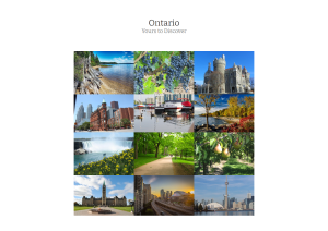 Photo Gallery