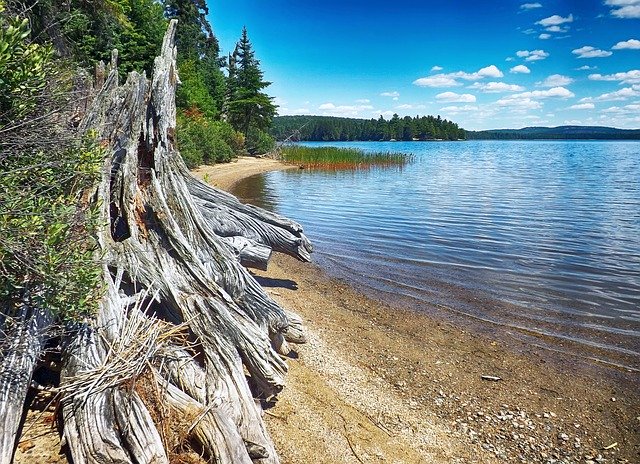 Algonquin